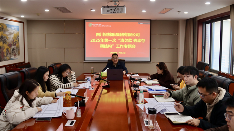 集團(tuán)公司召開2025年第一次“清欠款、去庫存、調(diào)結(jié)構(gòu)”工作專題會
