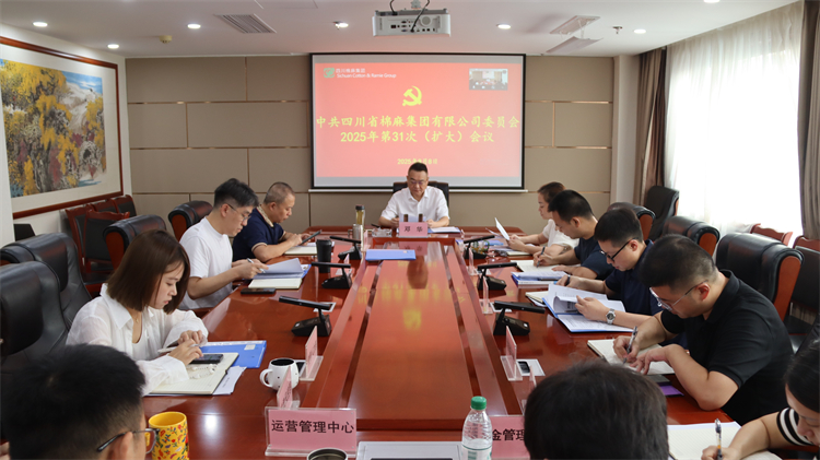 集團(tuán)公司召開2025年第31次黨委（擴大）會議